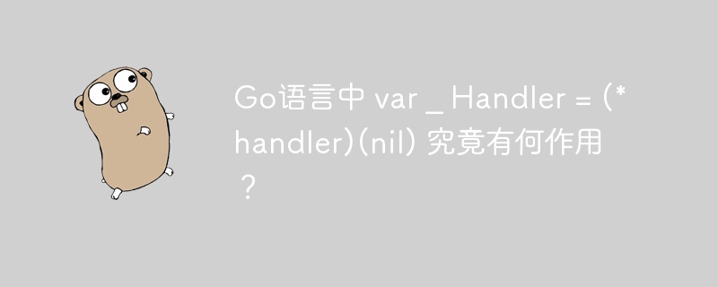 Go语言中var_Handler=(*handler)(nil)的作用及详细解析