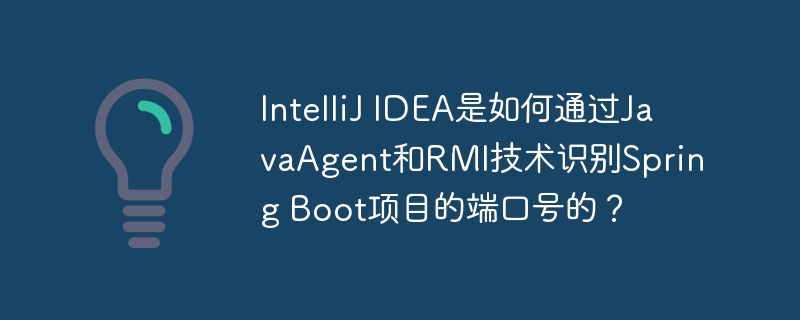 IntelliJIDEA识别SpringBoot端口：JavaAgent与RMI技术