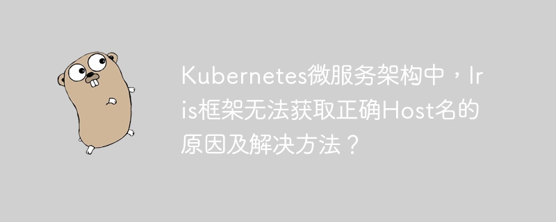 Iris框架在Kubernetes微服务获取Host名问题解决