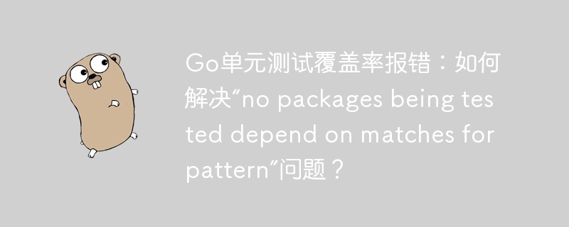 Go单元测试覆盖率报错：如何解决“no packages being tested depend on matches for pattern”问题？