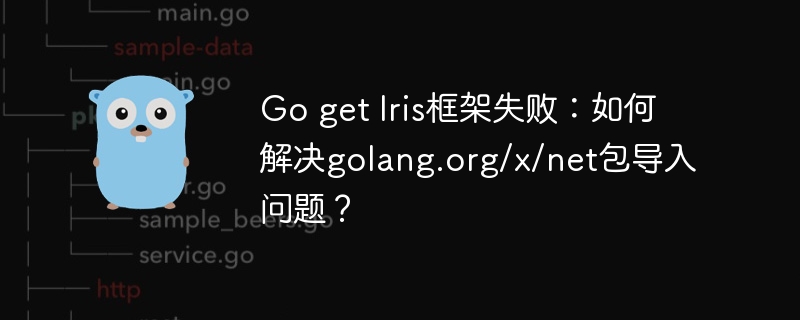 Go get Iris框架失败：如何解决golang.org/x/net包导入问题？