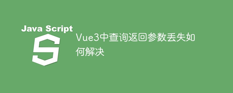 Vue3中查询返回参数丢失如何解决