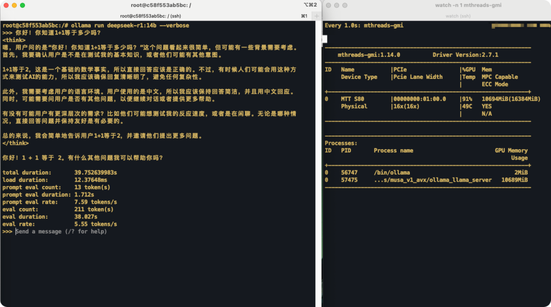 游戏显卡跑AI大模型？使用MTT S80解锁DeepSeek R1蒸馏模型本地推理