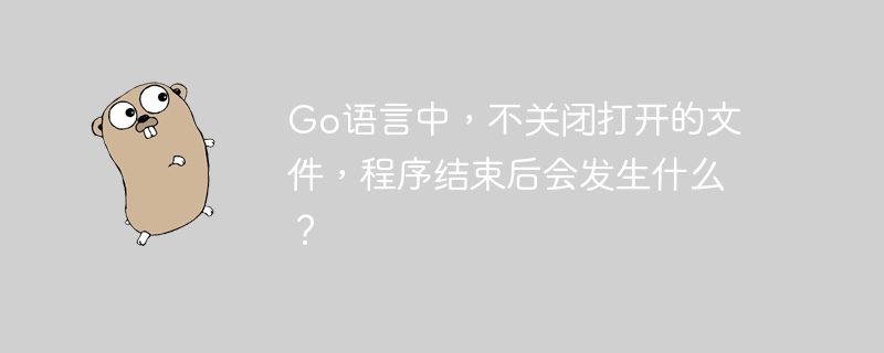 Go语言中,不关闭打开的文件,程序结束后会发生什么?