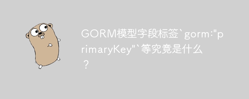 GORM模型字段标签`gorm: