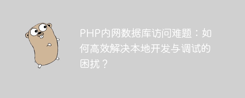 PHP内网数据库访问难题，本地开发调试高效解决方案
