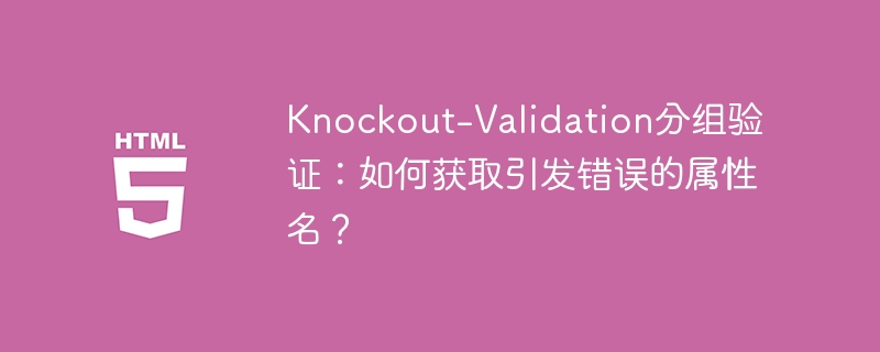 Knockout-Validation分组验证，获取错误属性名技巧