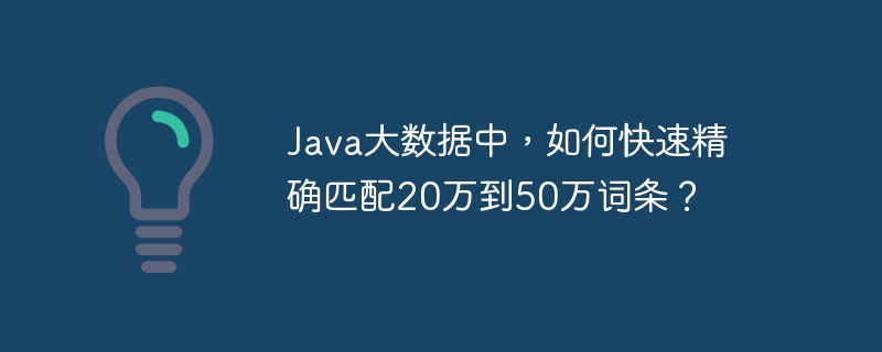 Java大数据中,如何快速精确匹配20万到50万词条?