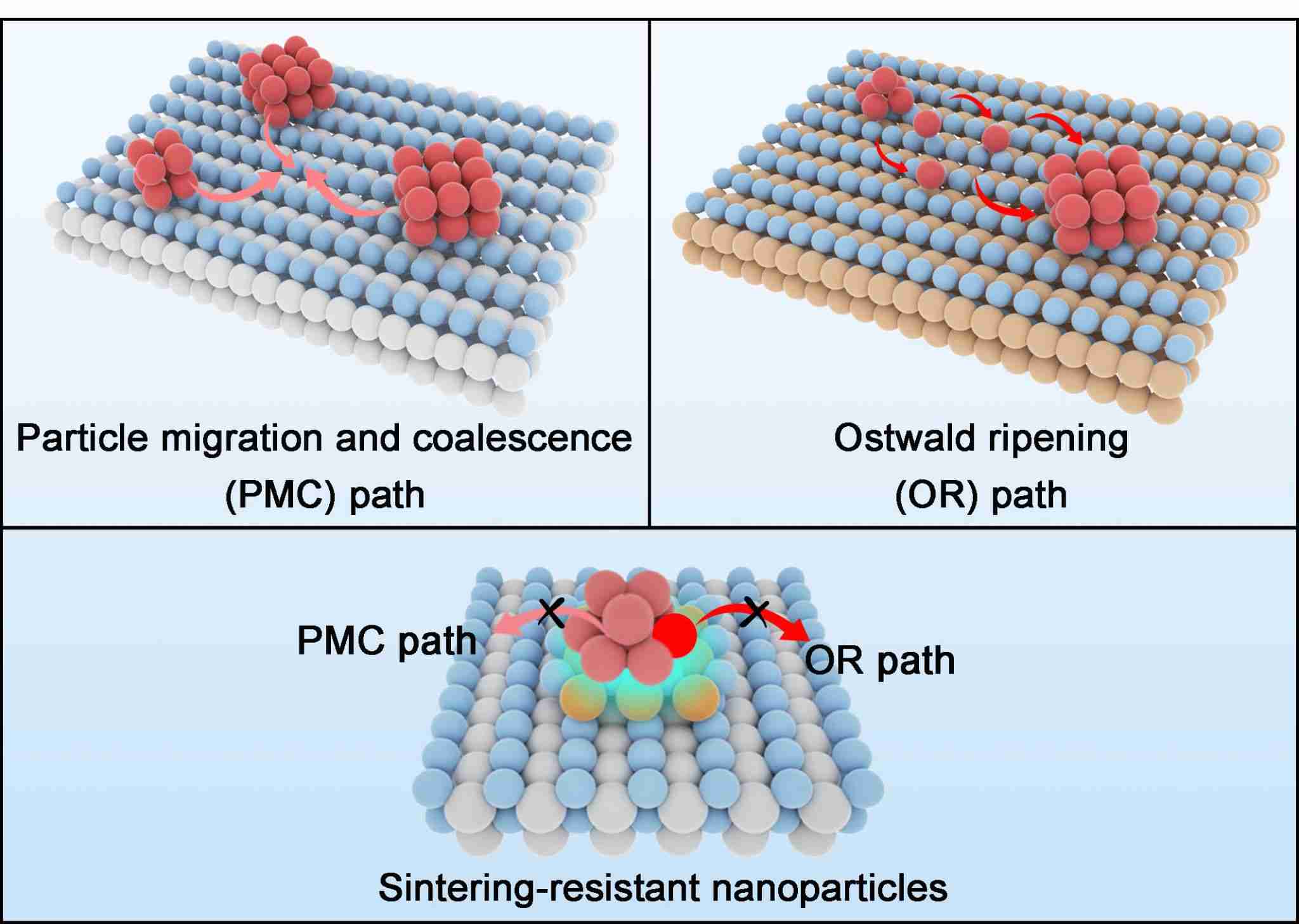 中国科大提出催化剂抗烧结新策略