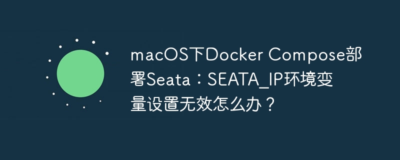 macOS下DockerCompose部署Seata时，解决SEATA_IP环境变量设置无效问题