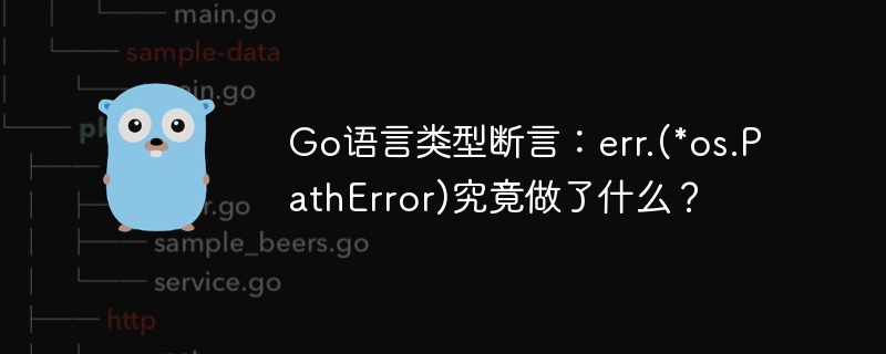 Go语言类型断言：err.(\*os.PathError)到底啥用？