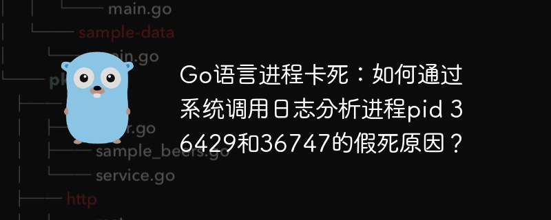 Go语言进程假死原因分析：pid36429与36747系统调用日志指南