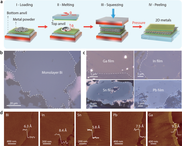 中国科学院科学家创新范德华挤压技术实现二维金属的普适制备