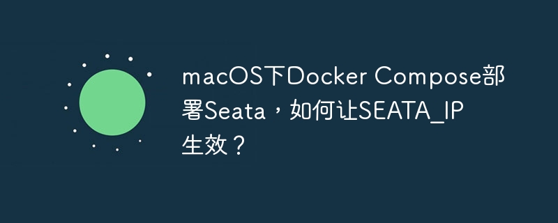 macOS下Docker Compose部署Seata,如何让SEATA_IP生效?