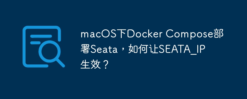 macOS下Docker Compose部署Seata，如何让SEATA_IP生效？