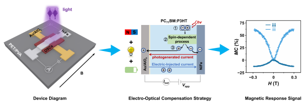 有机自旋电子器件磁响应信号调控研究获进展