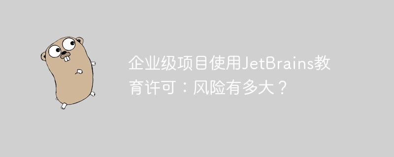 企业使用JetBrains教育许可的风险有多大？