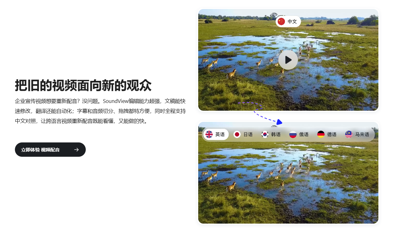 SoundView声动视界