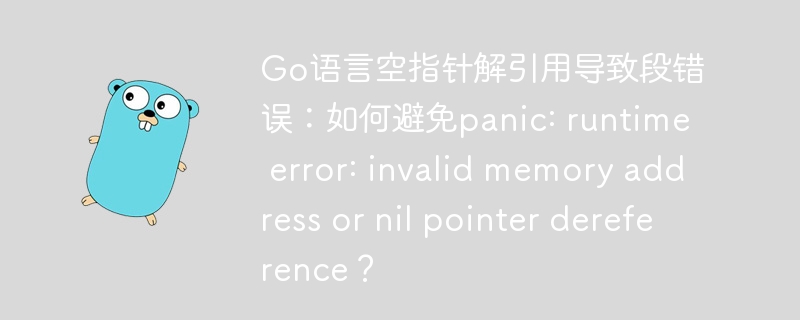 Go语言空指针解引用避免段错误及panic攻略