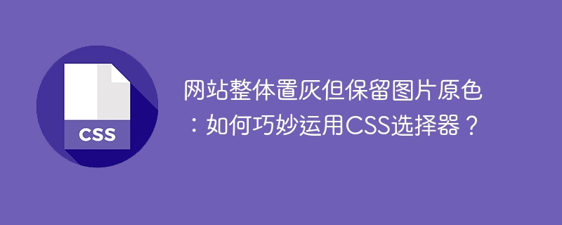 CSS选择器巧用：网站置灰保留图片原色