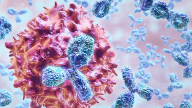 AbNovoICLR2025首发，多目标抗体设计新突破