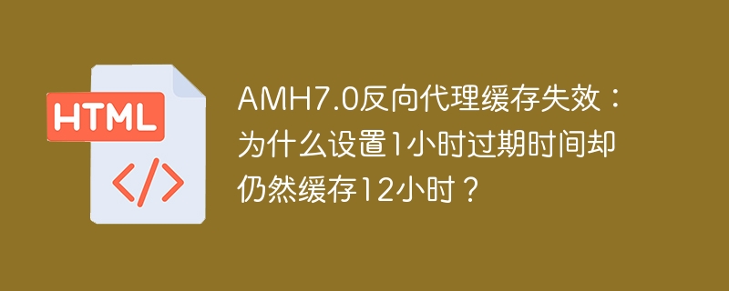 AMH7.0反向代理缓存为何设1小时却12小时？