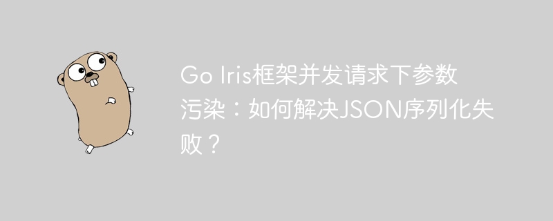 GoIris框架并发请求参数污染，解决JSON序列化失败攻略