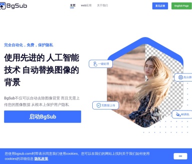BgSub:免费AI智能抠图工具,一键去除和替换背景
