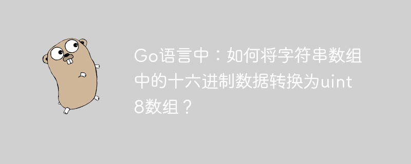 Go语言：十六进制字符串数组转uint8数组方法