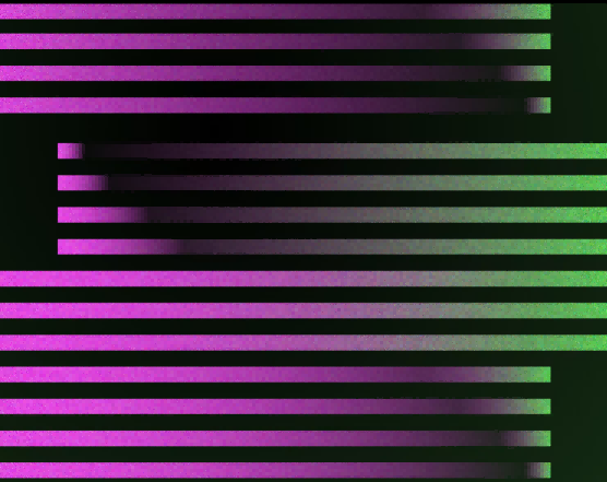 ChatGPT新手快速入门:掌握AI,提升生产力