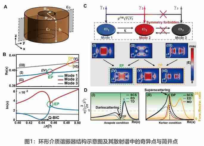 Science子刊！哈工程团队为光-物质相互作用调控开辟新维度