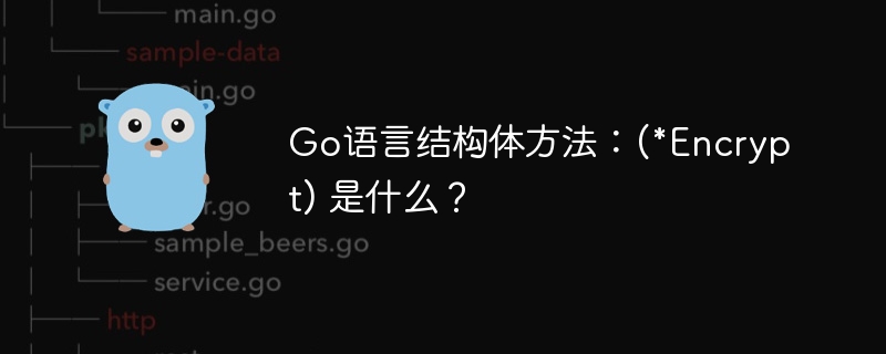 Go语言结构体方法：(\*Encrypt)详解