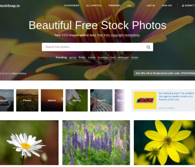 StockSnap:获取高质量免费素材库照片