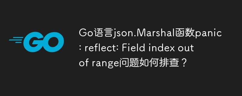 Go语言json.Marshal函数panic问题解决指南