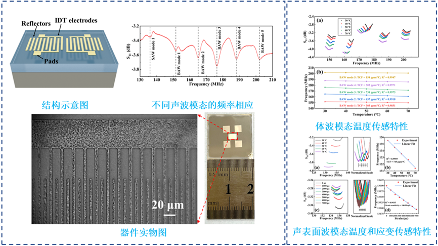 中山大学微电子科学与技术学院在IEEE MEMS会议发布两项重要科研成果