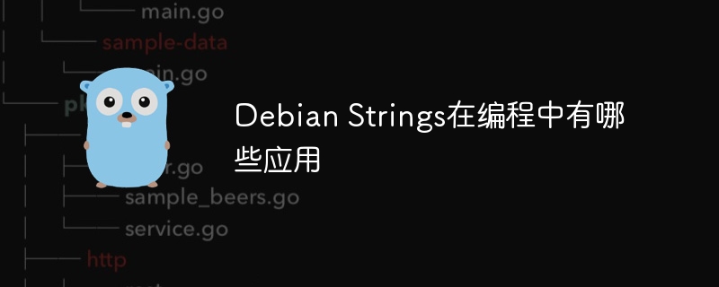 DebianStrings编程应用与实用技巧