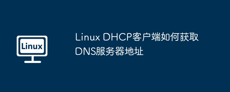 Linux DHCP客户端如何获取DNS服务器地址