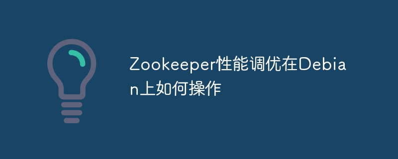 Zookeeper性能调优在Debian上如何操作
