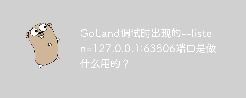 GoLand调试时--listen=127.0.0.1:63806端口的妙用及技巧