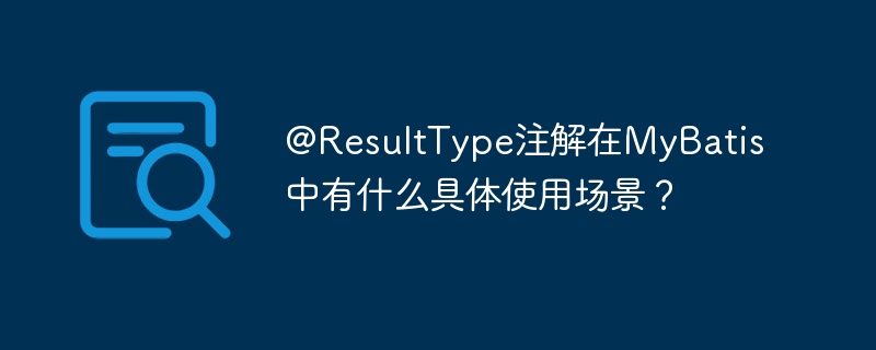 @ResultType注解在MyBatis中的使用场景及应用指南