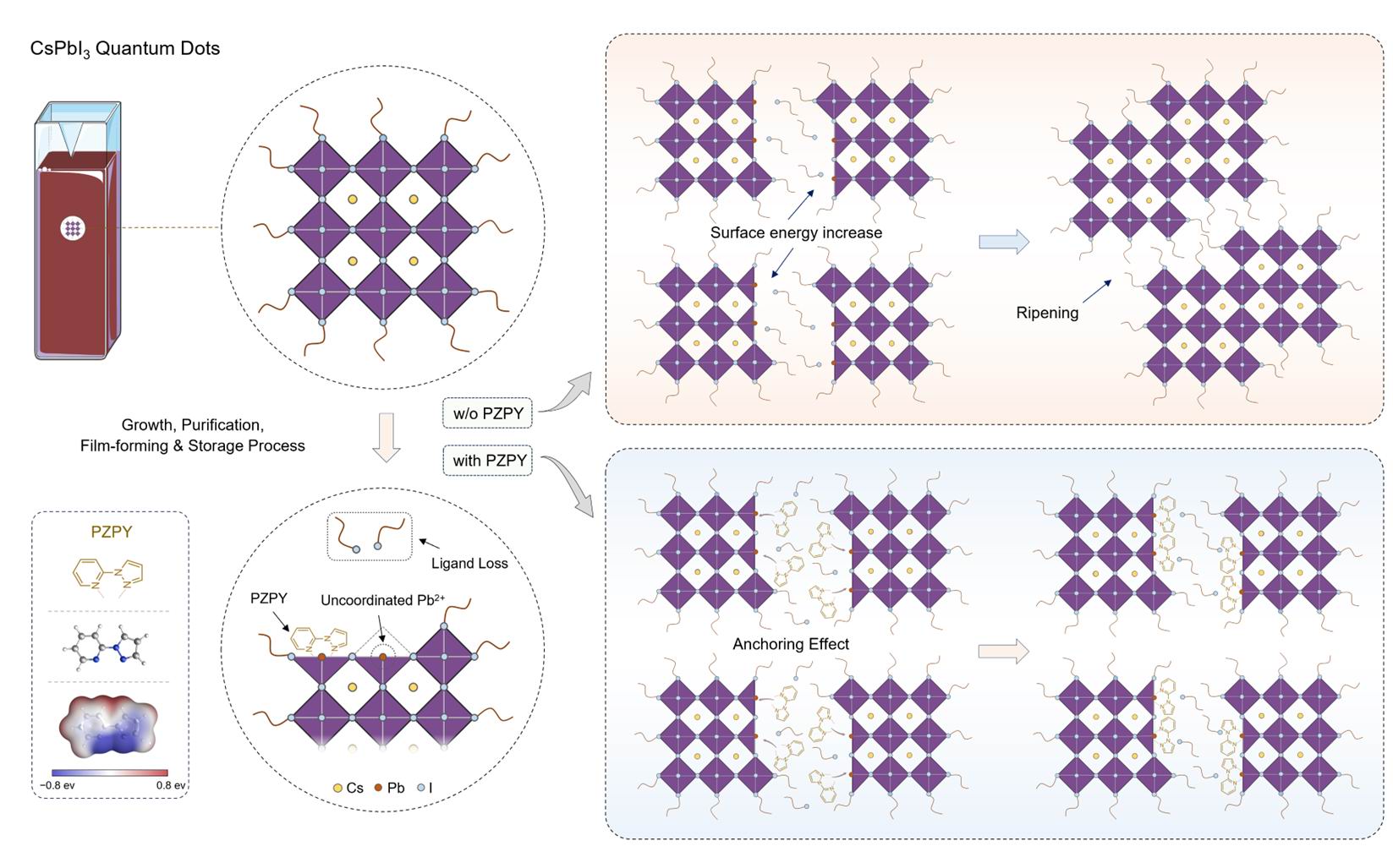 清华马冬昕团队研发高效钙钛矿量子点深红光器件