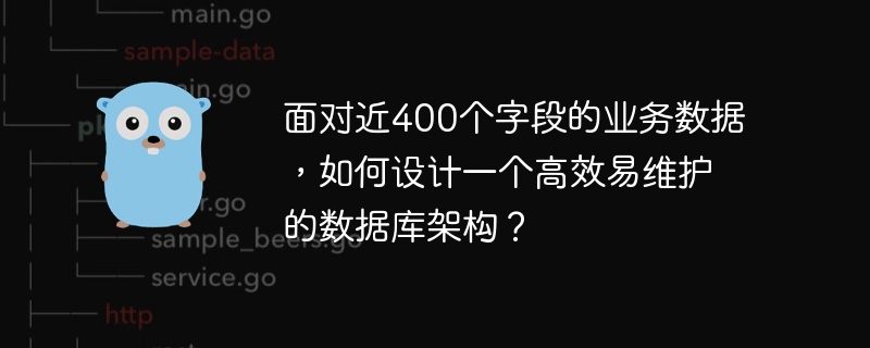 面对近400个字段的业务数据，如何设计一个高效易维护的数据库架构？