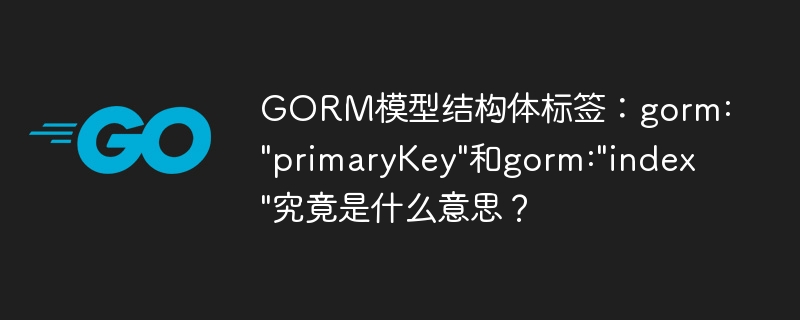 GORM模型标签详解：primaryKey和index用法