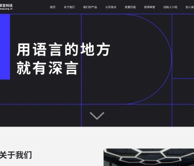 深言科技：重塑信息处理，智能文本引擎