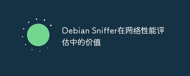 DebianSniffer在网络性能评估中的关键作用