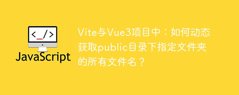 Vite与Vue3项目中获取public文件夹文件名方法