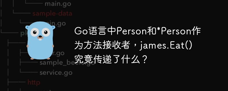 Go语言中Person和*Person作为方法接收者,james.Eat()究竟传递了什么?