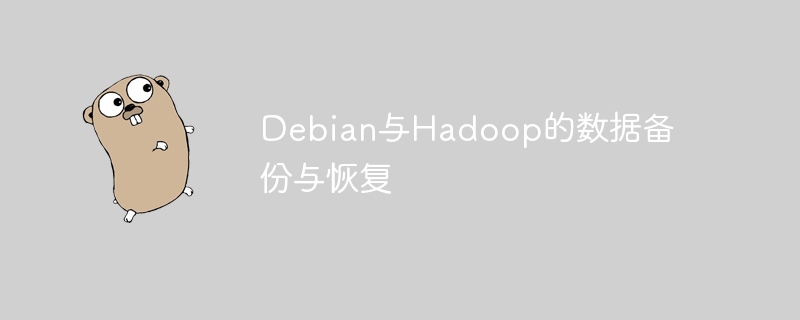 Debian与Hadoop数据备份恢复秘籍
