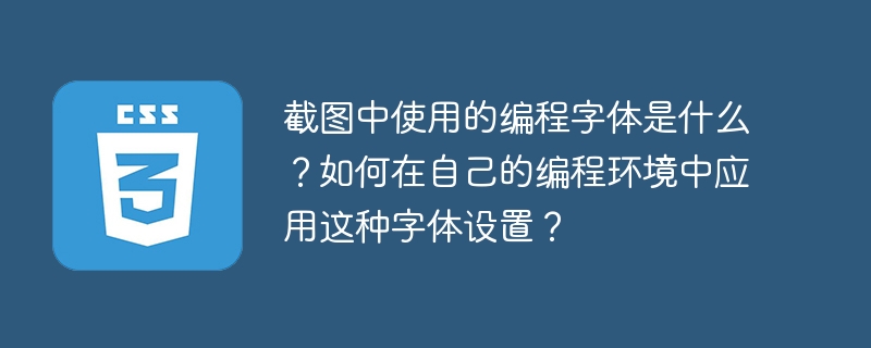 截图中使用的编程字体是什么？如何在自己的编程环境中应用这种字体设置？