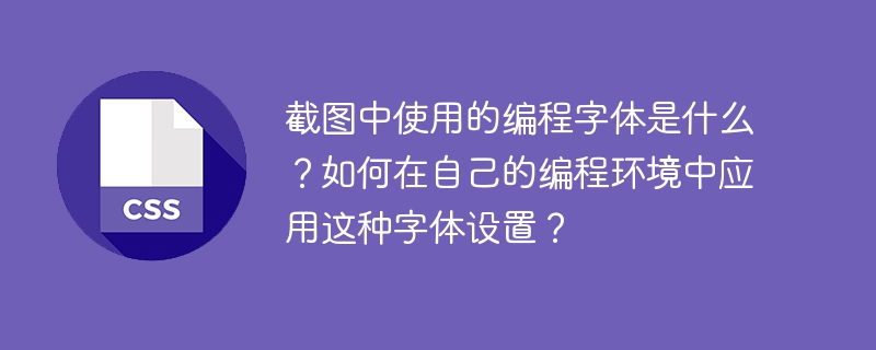 如何在编程环境中设置FiraCode字体